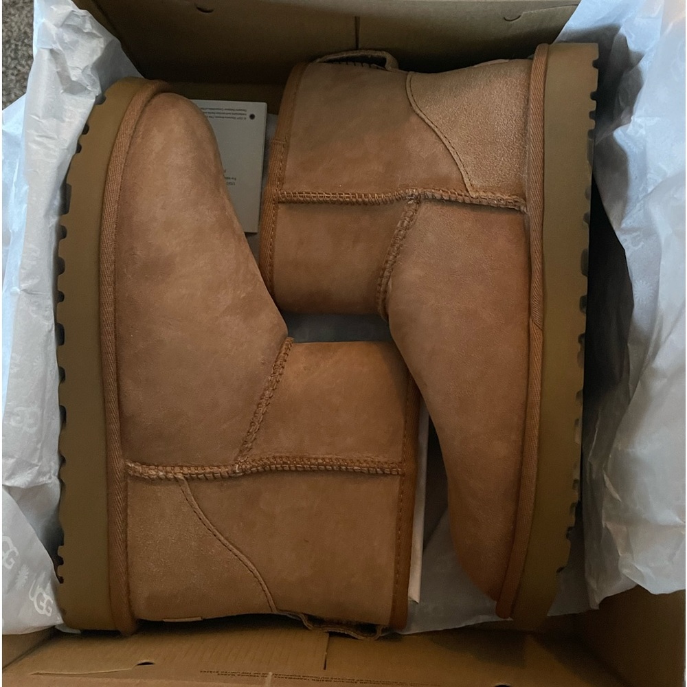 Mini Chestnut Uggs NEVER WORN